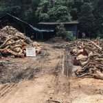 Mr Thach's factory in Lao Cai